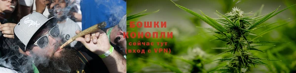 PSILOCYBIN Надым