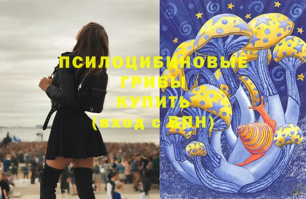 дурь Абинск