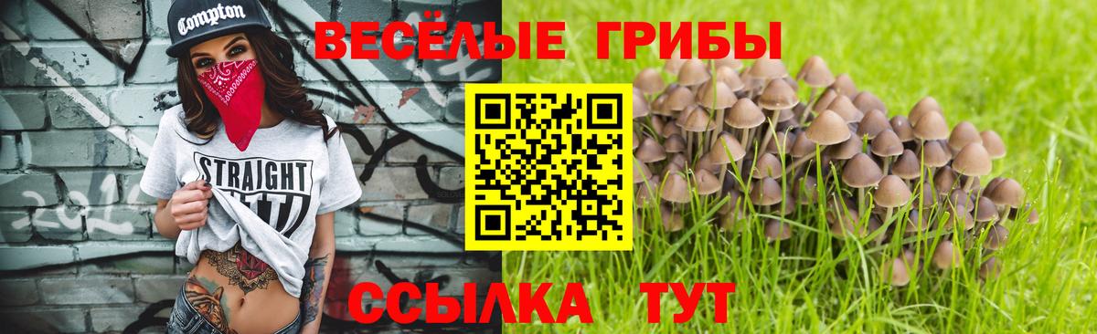 Ачинск  купить наркоту  Вход с VPN  Псилоцибиновые грибы Magic Shrooms 